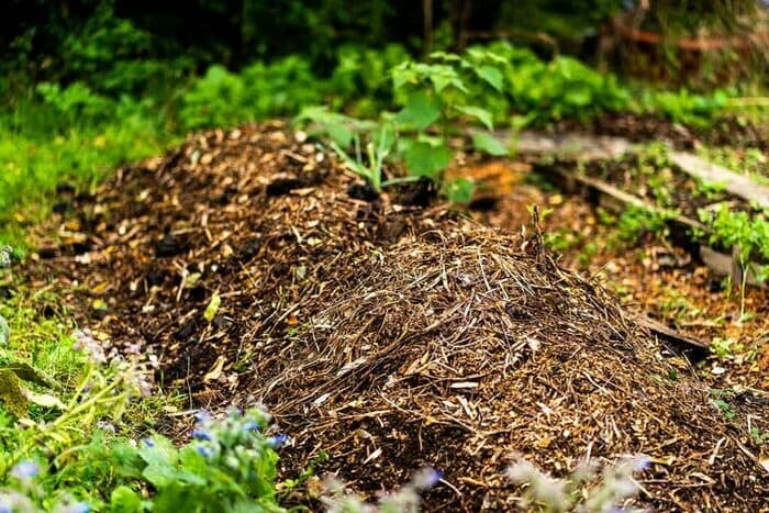 Visuel de l’événement « Valoriser les déchets du jardin grâce à la technique des lasagnes »