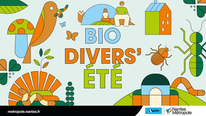 Visuel de l’événement « 6 à 8 pattes sous le brin d'herbe... »