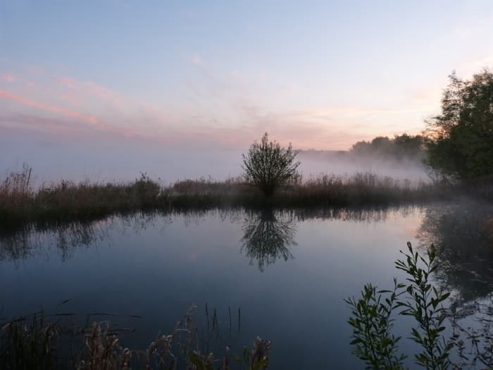 Visuel de l’événement « BERVILLE sur SEINE 76 : Animation ornithologie du GONm »