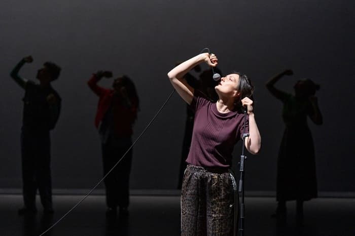 Visuel de l’événement « Saison LU – Théâtre – Fanny de Chaillé »