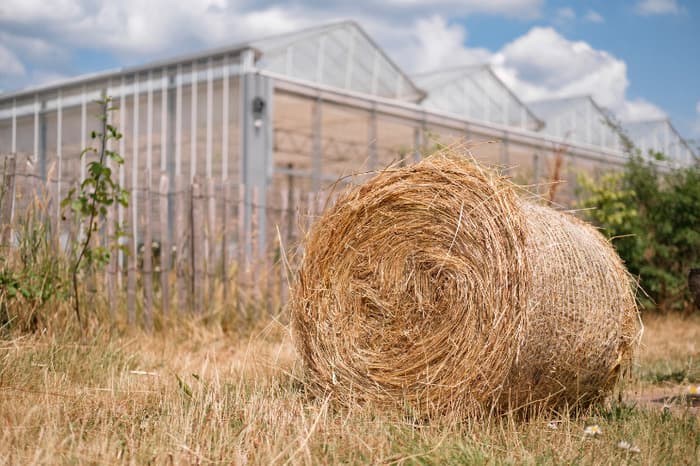Visuel de l’événement « Accueil à la ferme »