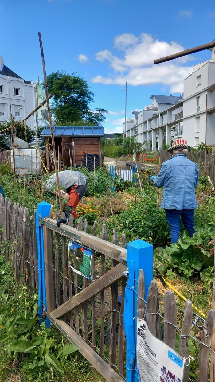 Visuel de l’événement « permanence jardinage potager paysage nourricier Prairie d'amont »