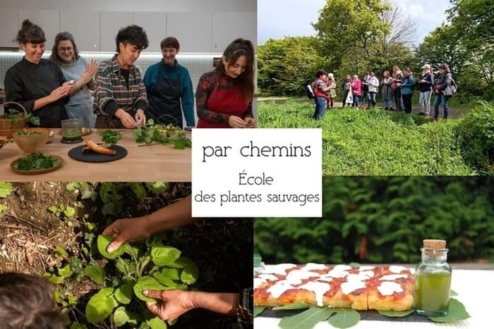 Visuel de l’événement « Journée immersive : Gastronomie des plantes sauvages comestibles »