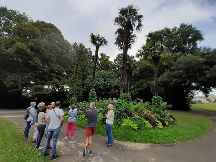 Visuel de l’événement « Balade botanique du parc de la Gaudinière »