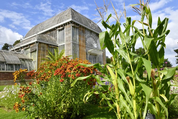 Visuel de l’événement « Découverte du Jardin des Plantes »