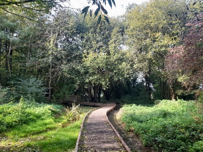 Visuel de l’événement « Les épices au jardin »