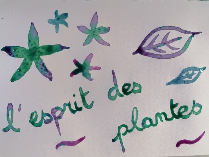 Visuel de l’événement « Atelier "couleurs végétales" »