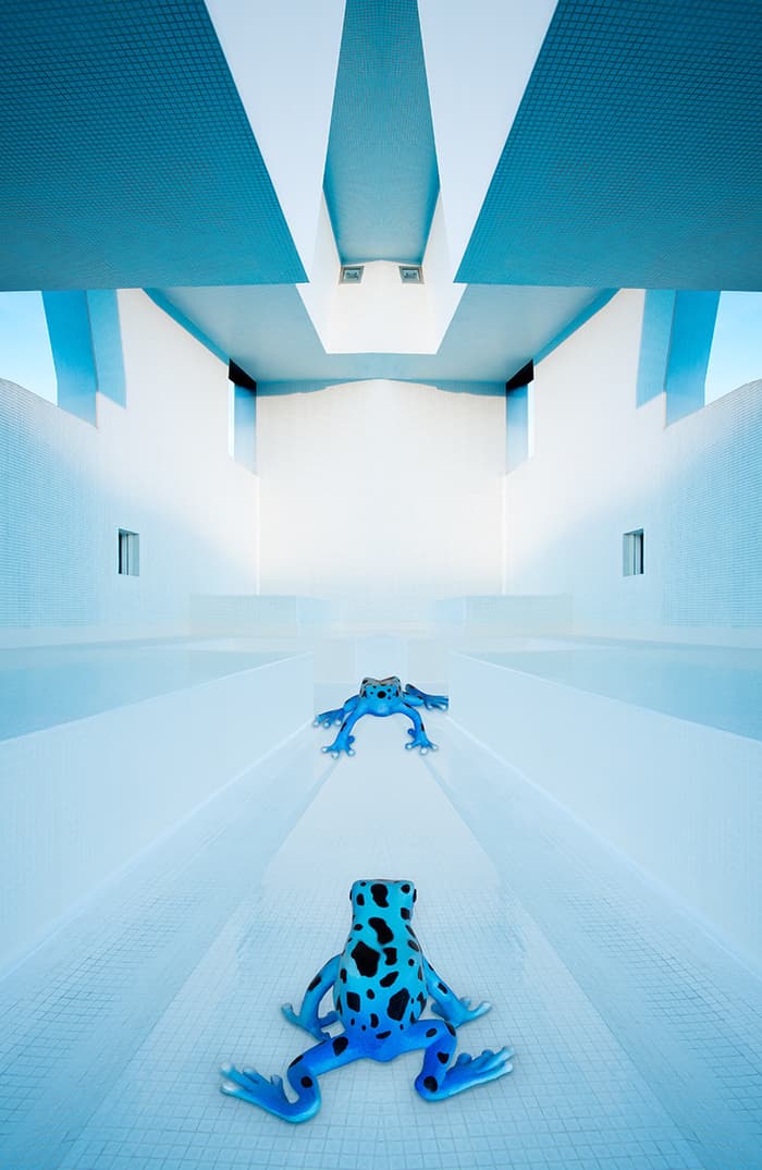 Visuel de l’événement « Éric Peltier - Fear of a blue planet »