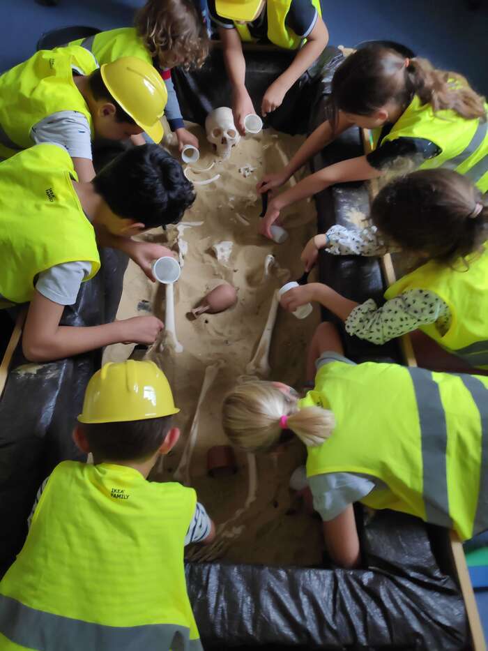Visuel de l’événement « Animation jeune public : atelier "mandibules et compagnie : dans la peau d'un archéologue" »