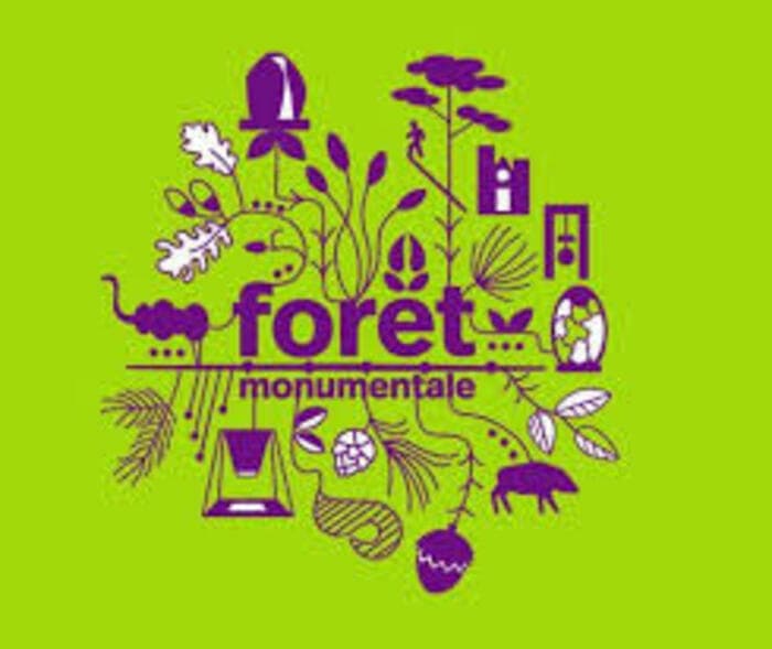 Visuel de l’événement « Forêt monumentale: visite »