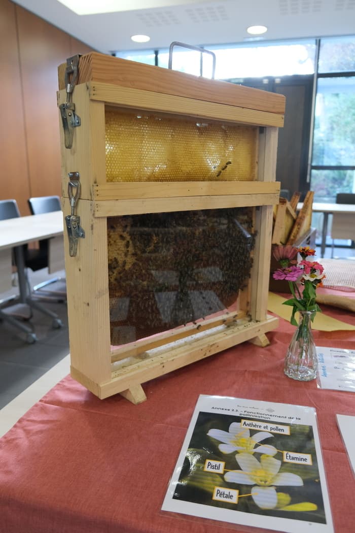 Visuel de l’événement « Atelier apiculture - Extraction du miel »