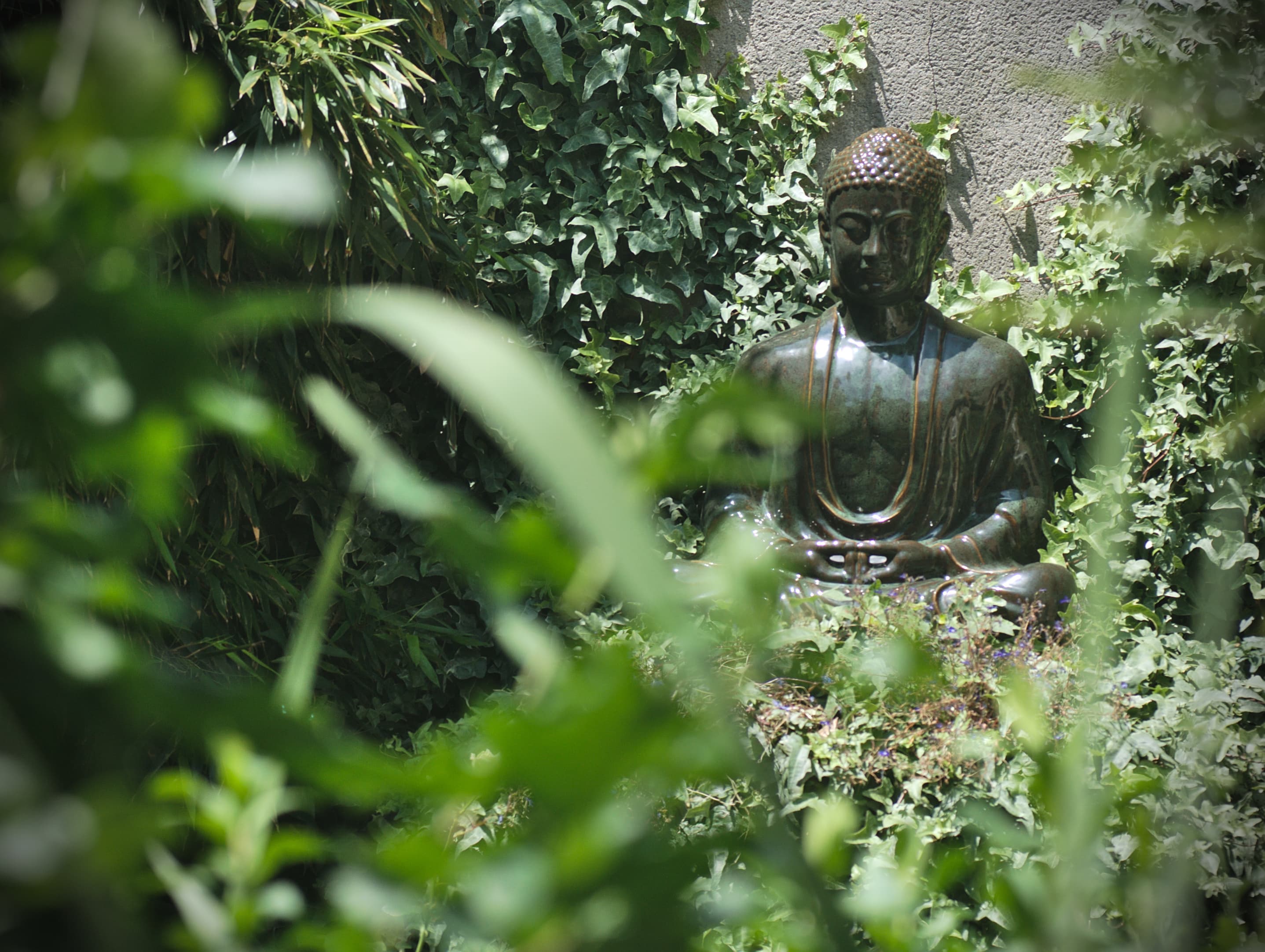 Photographie du lieu : Institut bouddhiste Kadam Tcheu Ling