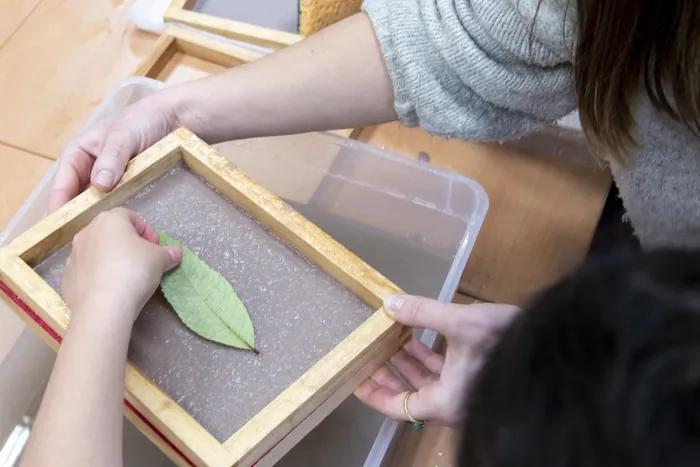 Visuel de l’événement « « FABRIQUE TON PAPIER RECYCLÉ » - atelier créatif et éco-responsable »