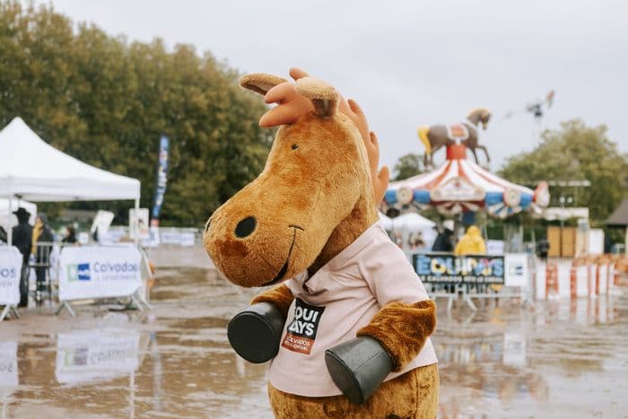 Visuel de l’événement « Village des Équidays à Caen »