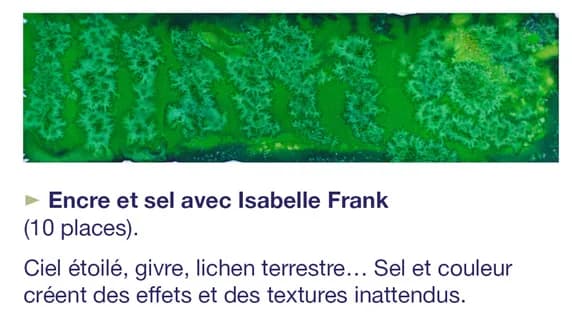 Visuel de l’événement « Atelier de pratiques artistiques : Encre et sel »