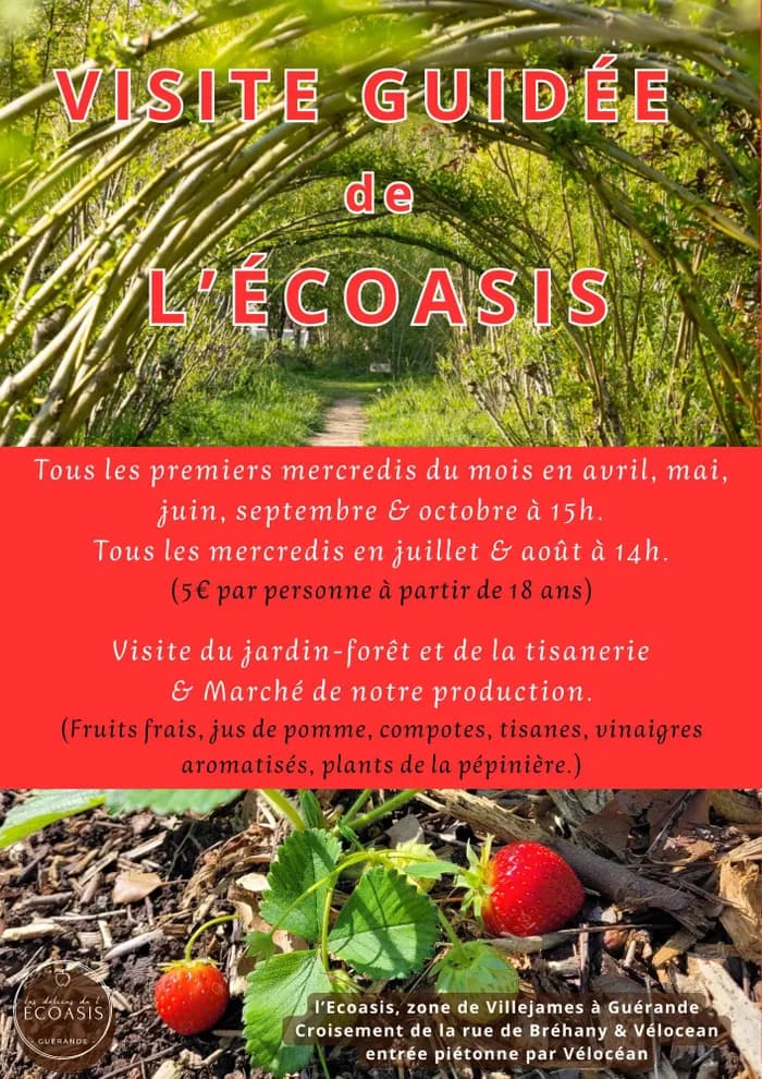 Visuel de l’événement « Visite guidée de l'Ecoasis »