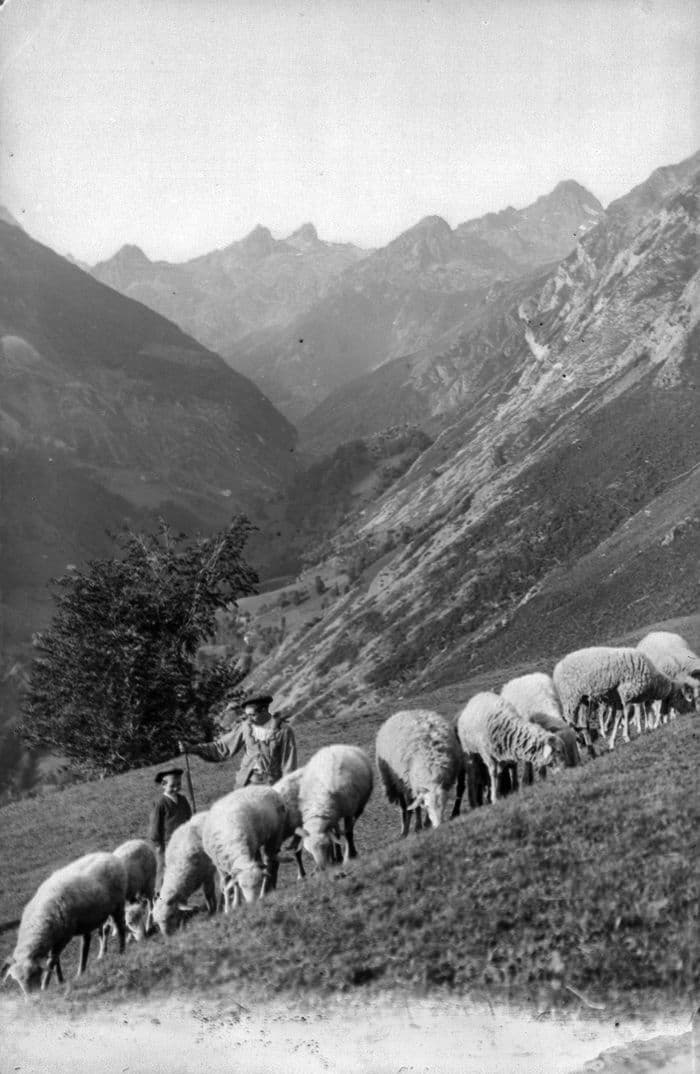 Visuel de l’événement « « MÉMOIRES DE TRANSHUMANCE » - projection commentée [Archives St-Gaudens] »