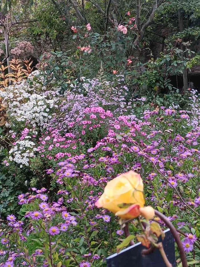 Visuel de l’événement « Démonstration de filage du verre au jardin personnel d'André Eve »
