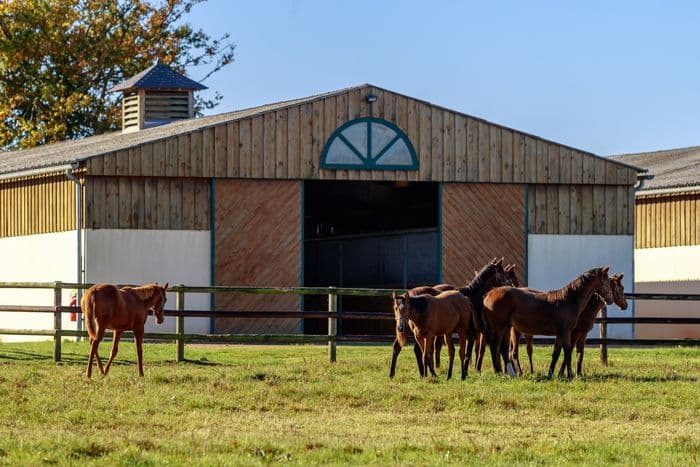 Visuel de l’événement « Visite de SUMBE Haras de Montfort & Préaux »