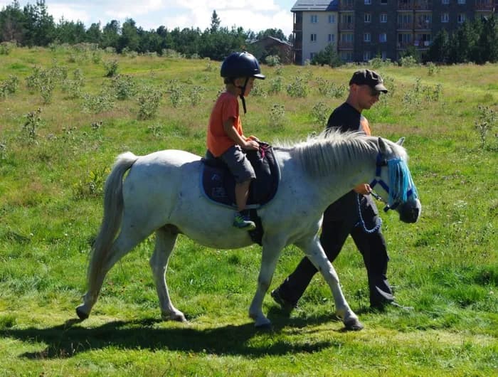 Visuel de l’événement « Baptêmes Poney aux Ecuries du Littoral »
