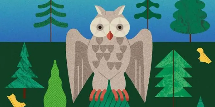 Visuel de l’événement « Animation enfants 7/11 ans – Château des ducs de Bretagne »