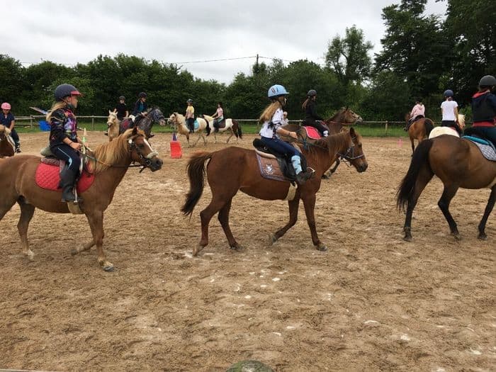 Visuel de l’événement « Baptême de poney en musique à la Ferme Equestre Les six Chemins »