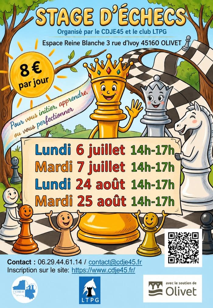 Visuel de l’événement « Stages d'échecs vacances d'été »