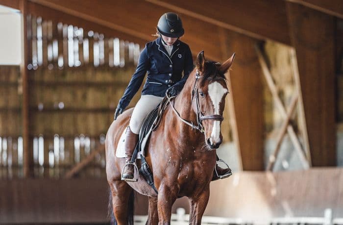 Visuel de l’événement « Concours de dressage club / poney aux écuries de la Souleuvre »