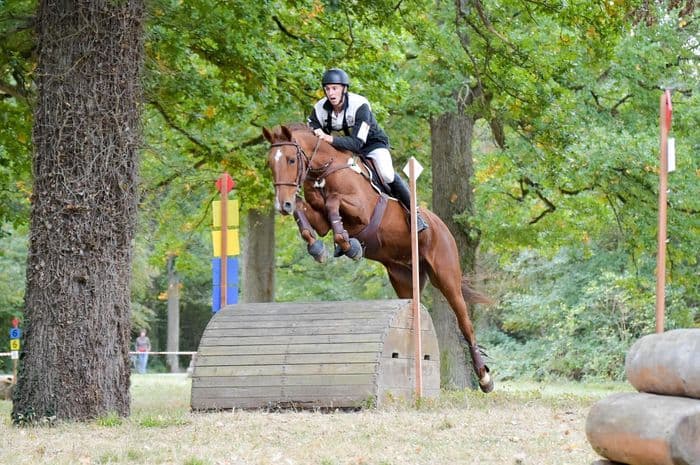 Visuel de l’événement « Derby cross et Pony Games au Lycée le Robillard »