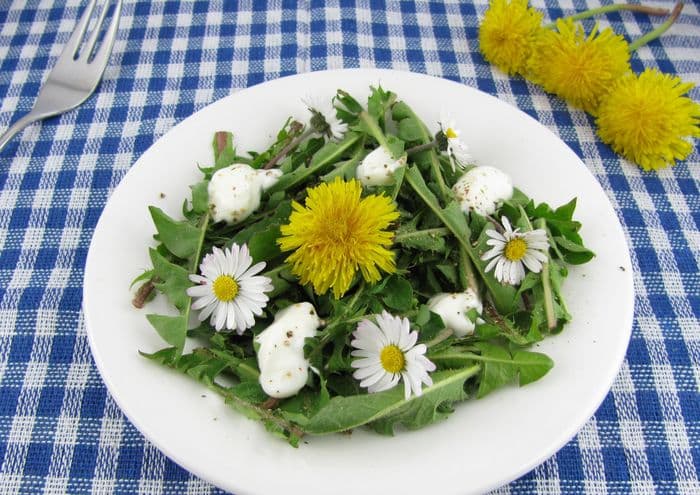 Visuel de l’événement « Salades sauvages et délicates »