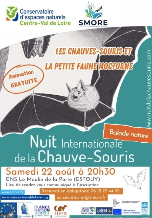 Visuel de l’événement « Nuit internationale de la chauve-souris »