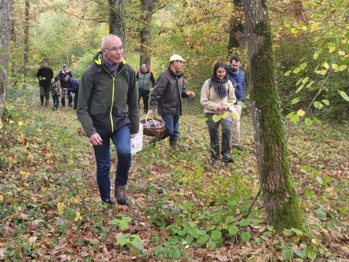 Visuel de l’événement « Champignons en Forêt d'Orléans »