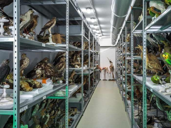Visuel de l’événement « Visites guidées du centre de conservation »
