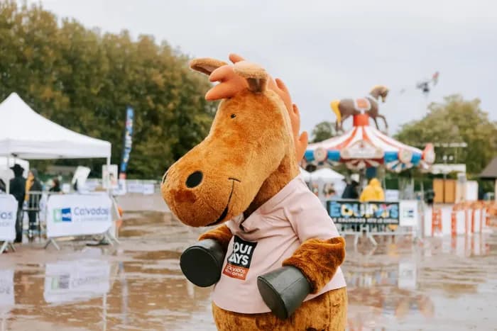Visuel de l’événement « Village des Équidays à Caen »