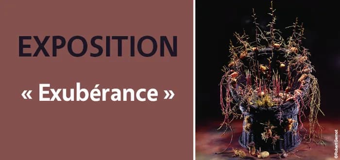 Visuel de l’événement « Exposition Exubérance »