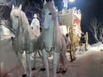 Visuel de l’événement « Décrypt’art, micro-conférence sur la représentation du Cheval dans l’art »