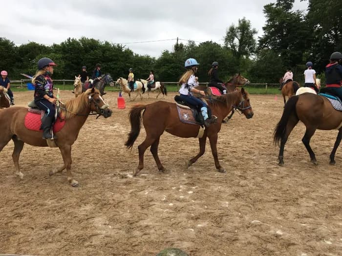 Visuel de l’événement « Baptême de poney en musique à la Ferme Equestre Les six Chemins »