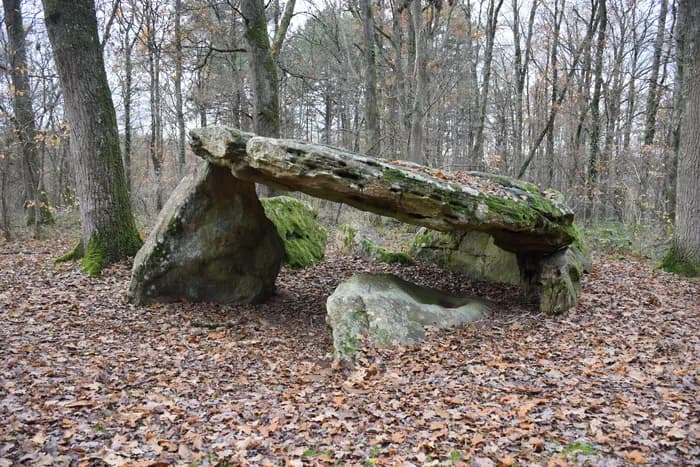 Visuel de l’événement « Les Jeudis du Patrimoine : Patrimoine préhistorique  de la région Centre-Val de Loire, un patrimoine fragile »