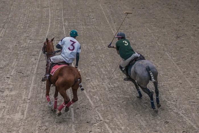 Visuel de l’événement « Démonstration de polo au Pôle International du Cheval Longines - Deauville »