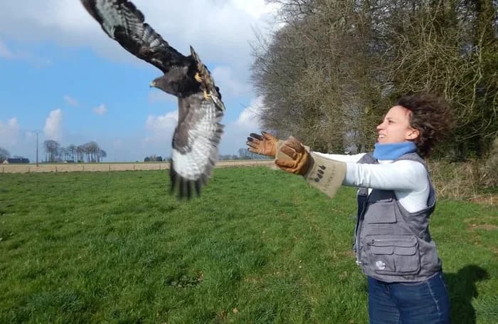 Visuel de l’événement « Rencontre avec le CHENE : recueillir et soigner la faune sauvage »