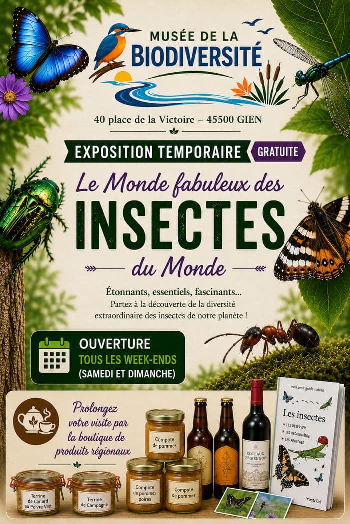 Visuel de l’événement « Exposition temporaire "Le Monde fabuleux des Insectes du Monde" »