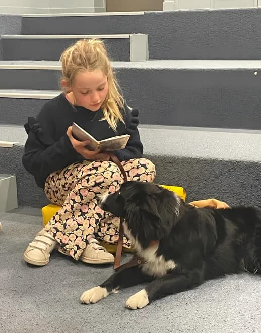 Visuel de l’événement « Viens lire avec un chien ! »