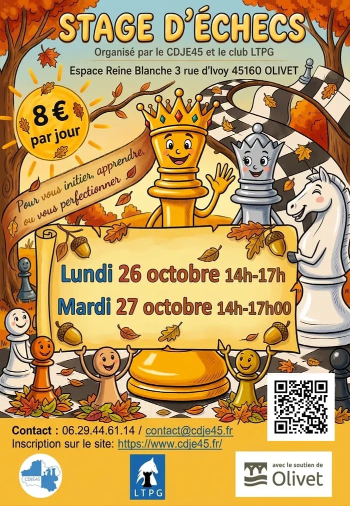 Visuel de l’événement « Stage échecs vacances de Toussaint »