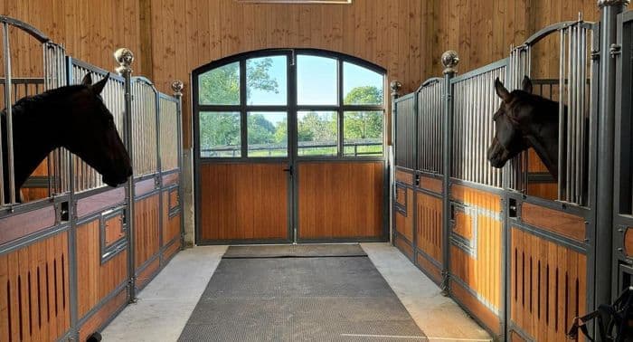 Visuel de l’événement « Visite professionnelle du Haras Damelot »