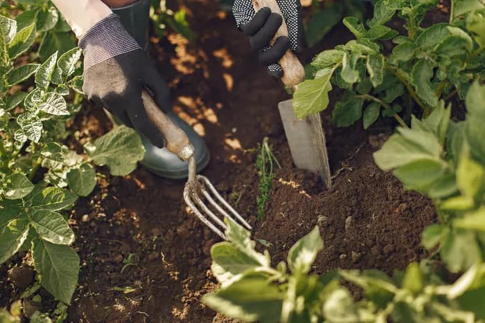 Visuel de l’événement « Visite des jardins de Solembio »