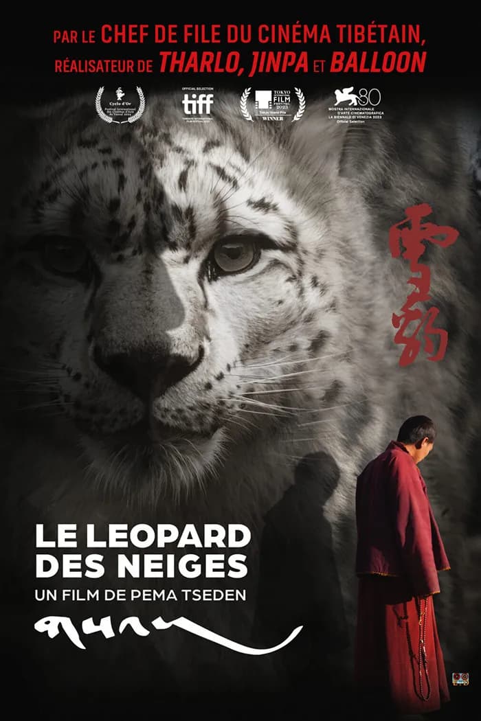 Visuel de l’événement « Le léopard des neiges »