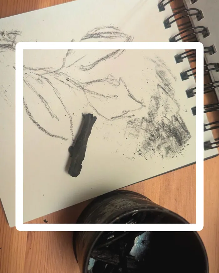 Visuel de l’événement « Atelier fabrication et utilisation de fusain naturel »