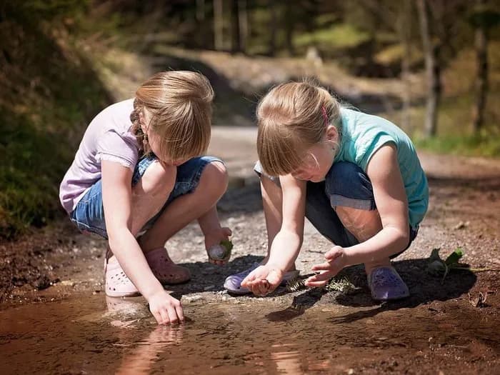Visuel de l’événement « Balade et fabrication de jouets avec la nature »