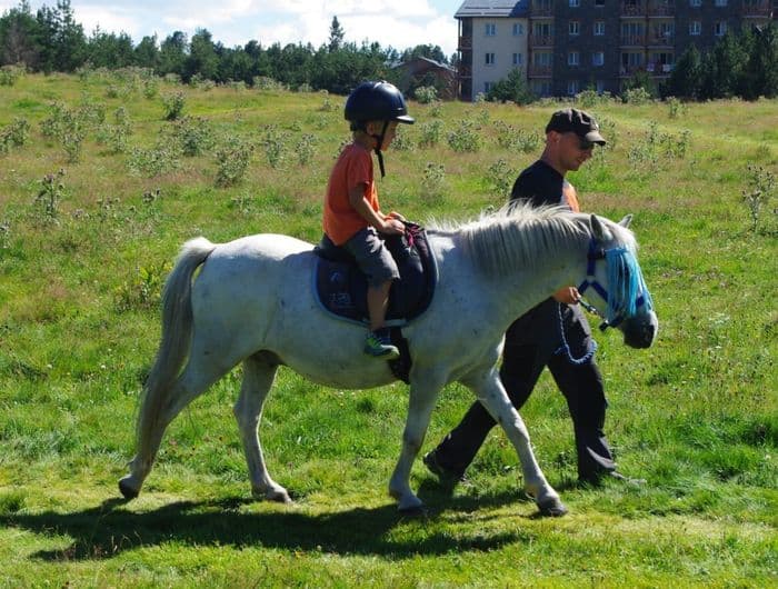 Visuel de l’événement « Baptêmes Poney aux Ecuries du Littoral »