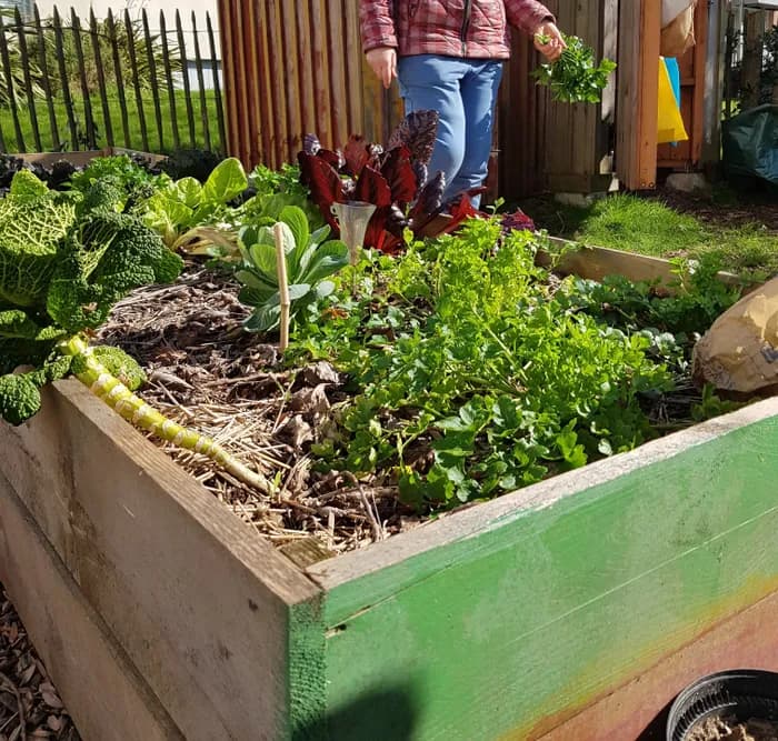 Visuel de l’événement « Hivernage du jardin de Dullin »